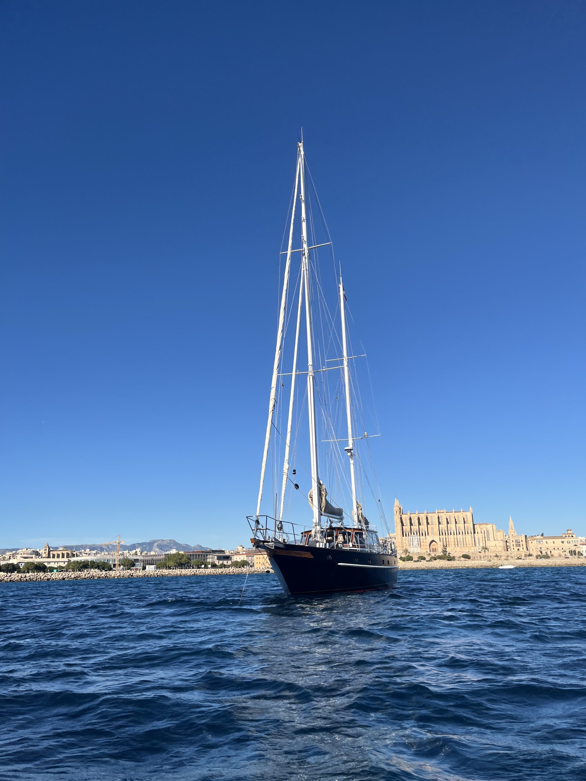 Cathedral of Palma